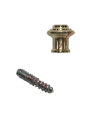 Piano Desk Knob, Brass 1/2" Dia. with Wood Screw