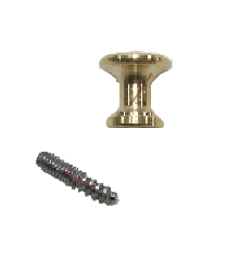 Piano Desk Knob, Brass 5/8" Dia. with Wood Screw