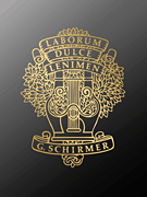 Piano Sonata No. 1 in F K332 by Mozart