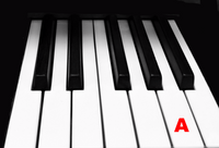 Piano Keytop Glossy White 1-15/16" Short Head - Individual Replacement Key