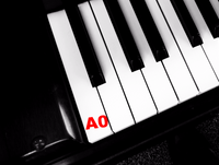 Piano Keytop Glossy White 1-15/16" Short Head - Individual Replacement Key