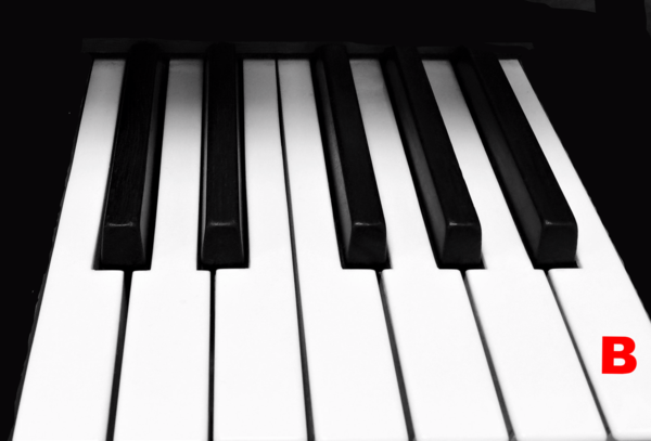 Piano Keytop Glossy White 1-15/16" Short Head - Individual Replacement Key