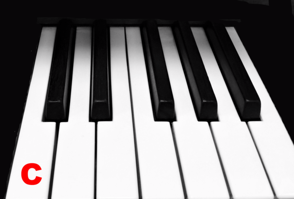 Piano Keytop Glossy White 1-15/16" Short Head - Individual Replacement Key