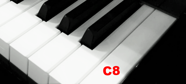 Piano Keytop Glossy White 1-15/16" Short Head - Individual Replacement Key