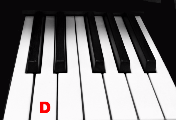 Piano Keytop Glossy White 1-15/16" Short Head - Individual Replacement Key