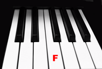 Piano Keytop Glossy White 1-15/16" Short Head - Individual Replacement Key