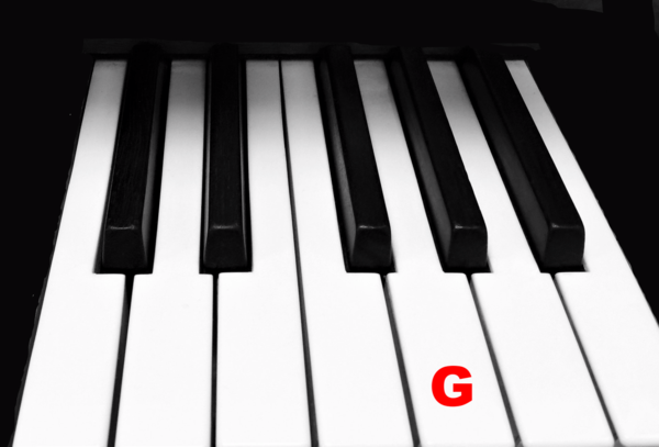 Piano Keytop Glossy White 1-15/16" Short Head - Individual Replacement Key
