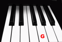Piano Keytop Glossy White 1-15/16" Short Head - Individual Replacement Key