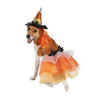 Halloween Bootique Witch Dog/Cat Costume L/XL