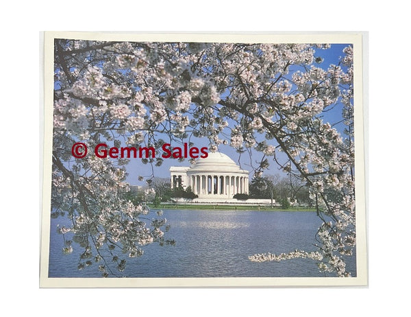 Historical Cherry Blossoms The Jefferson Memorial, Washington D.C. Photograph 8 x 10