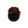 Miniature Halloween Cauldron - Farm Fresh Pumpkins