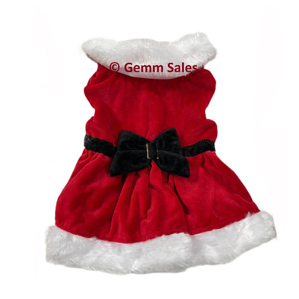 Time for Joy Mrs. Clause Dog Dress