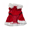 Time for Joy Mrs. Clause Dog Dress