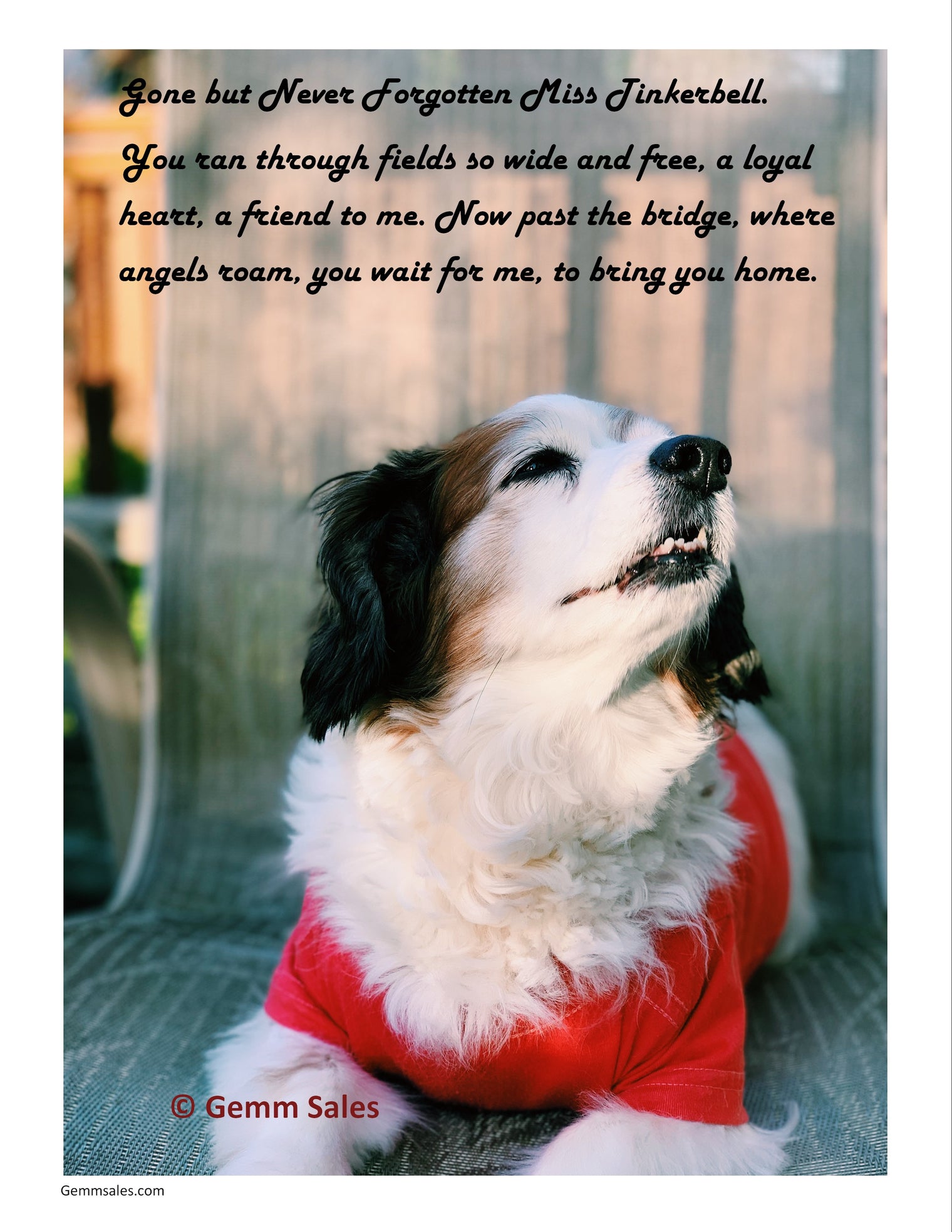 Digital Personalized Photo with Quote Print