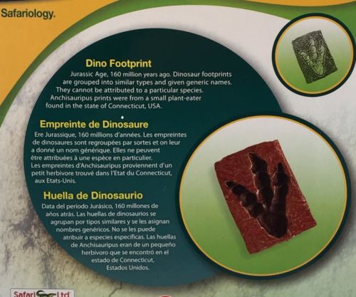 Safari Dinosaur Footprint Fossil Toy