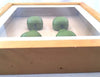 Pear 3D Shadow Box Artwork Framed 10" x 10"