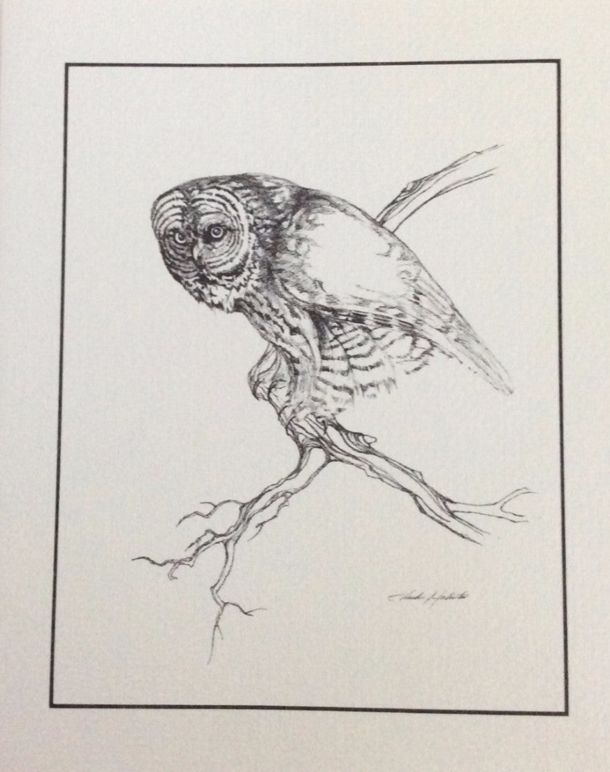 Great Gray Owl by Charles J. Johnson, Vintage Notecard 1973, The Owl's Nest