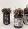 Halloween Medicine Bottles, Apothecary Bottles, Potion Bottles, Decorations, Set of 3