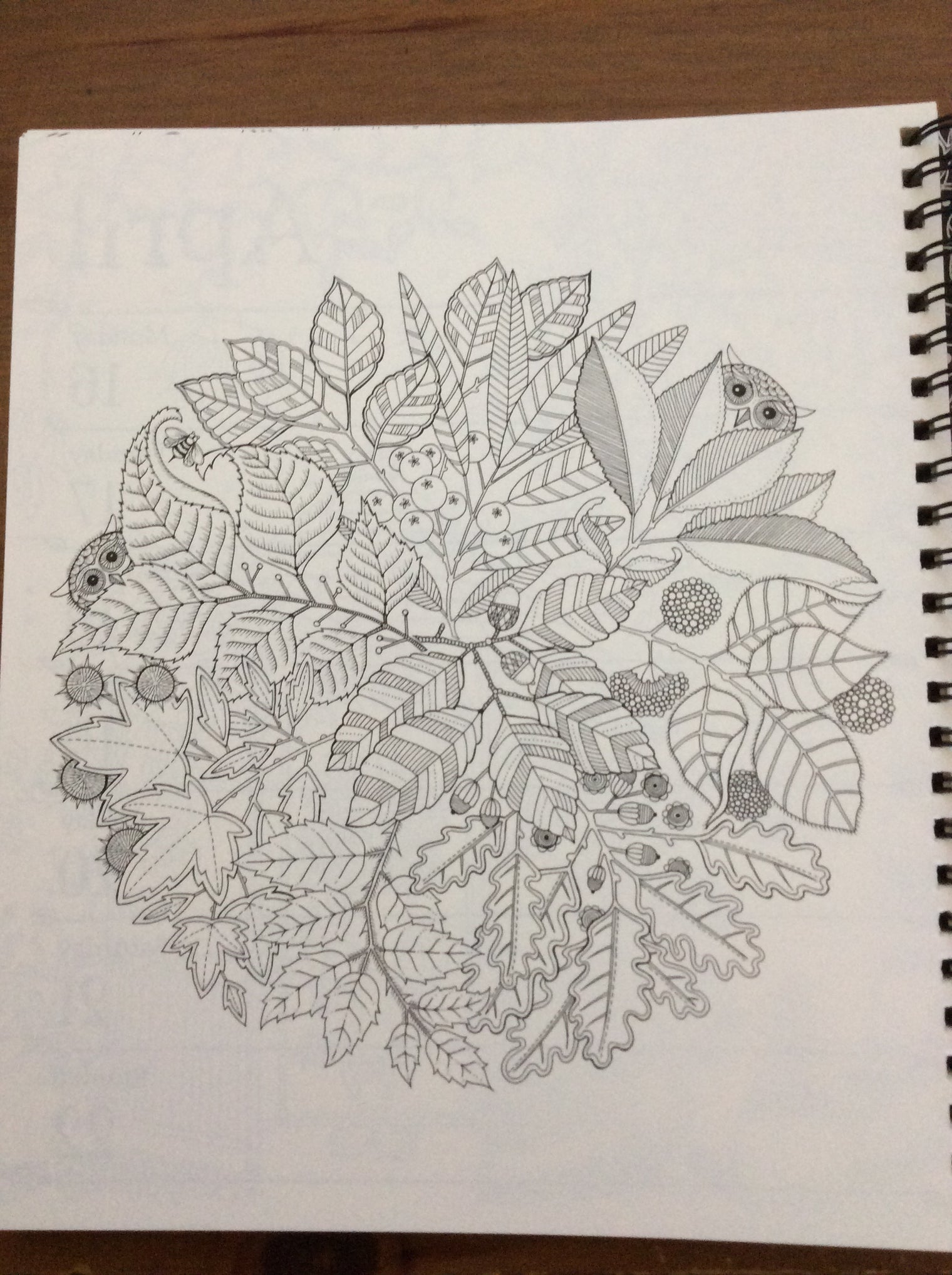 Johanna Basford 16-Month Coloring Weekly Planner Sept. 2017- Dec. 2018