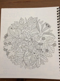 Johanna Basford 16-Month Coloring Weekly Planner Sept. 2017- Dec. 2018