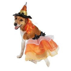 Halloween Bootique Witch Dog/Cat Costume