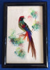 Feather Framed Handcrafted Exotic Bird Artwork