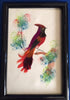 Feather Framed Handcrafted Exotic Bird Artwork