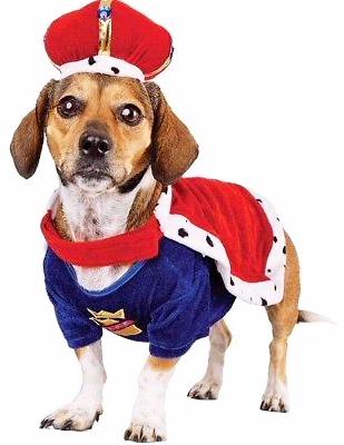 Bootique His Royal Dogness, Dog Halloween King Costume, Small