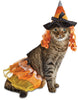 Halloween Bootique Witch Dog/Cat Costume S/M